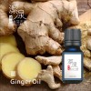 薑 Ginger oil-10ml