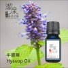 牛膝草Hyssop oil-10ml